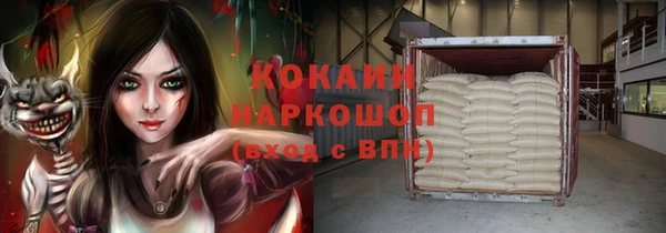 сатива Арсеньев