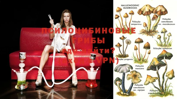 гидропоника Армянск