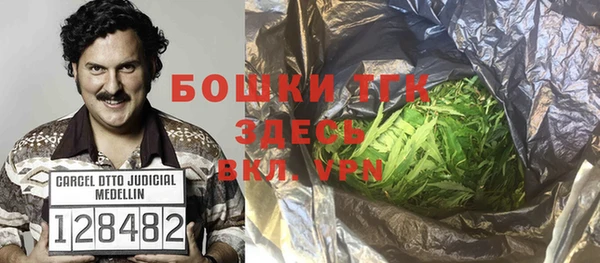 сатива Арсеньев
