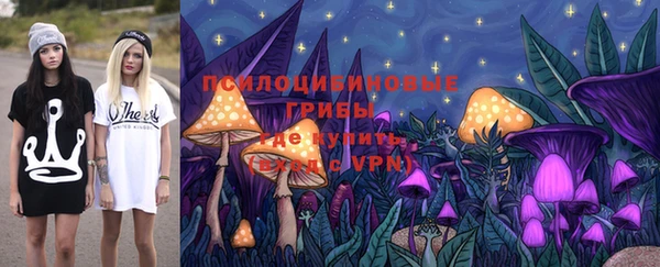 гашик Дмитров