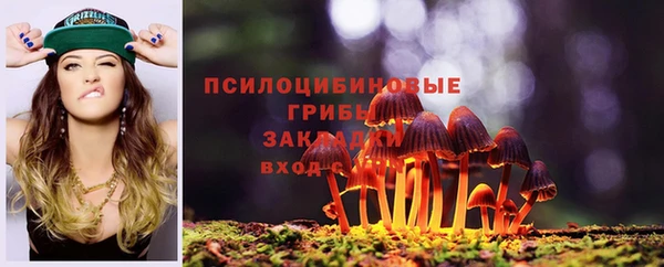 сатива Арсеньев