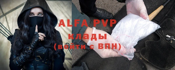 сатива Арсеньев