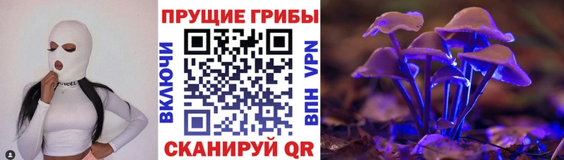 Псилоцибиновые грибы Cubensis  где купить наркоту  Петровск-Забайкальский 